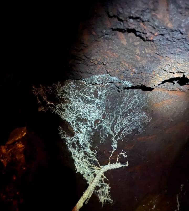 Cueva de Hierro